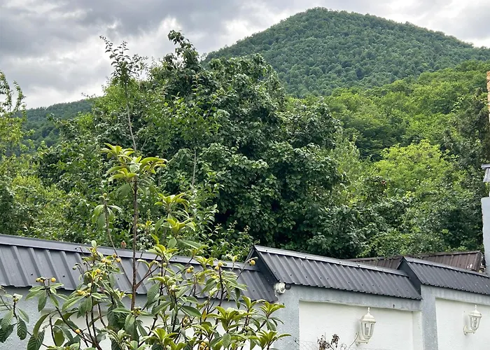 Qafqaz Mountside Chalet